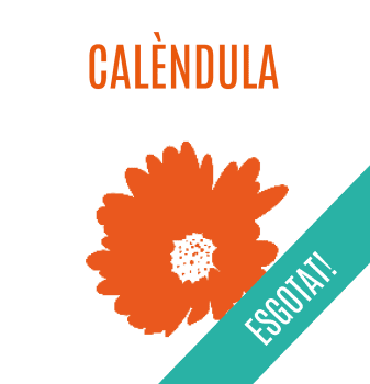 CALÈNDULA - 1