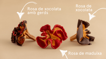 Rosetes de xocolata - 4