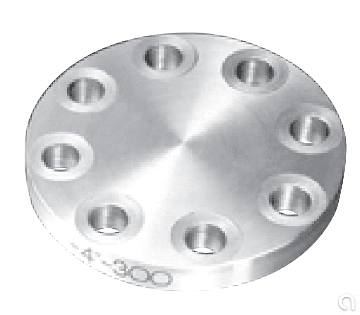 Brida Blind - 