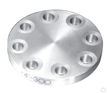 Brida Blind
