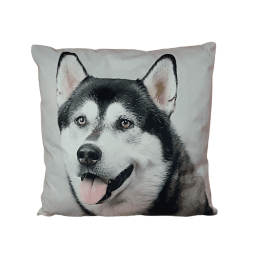 Cojines perro Husky 33 x 33