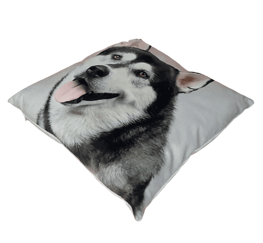 Cojines perro Husky 33 x 33 - 1