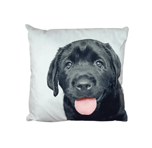 Cojines perro labrador negro 33 x 33