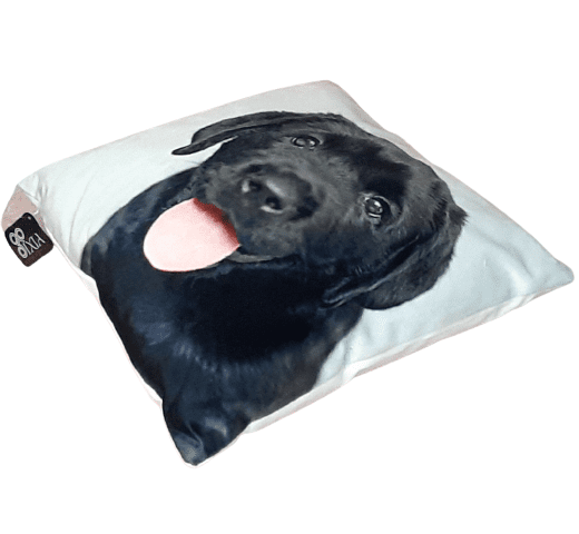 Cojines perro labrador negro 33 x 33 - 1