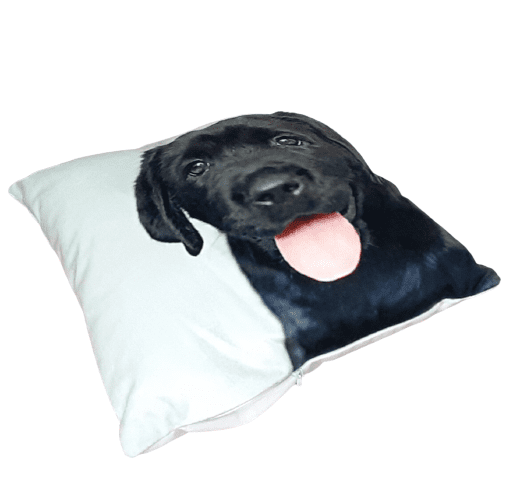 Cojines perro labrador negro 33 x 33 - 3