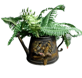REGADERA DECORATIVA