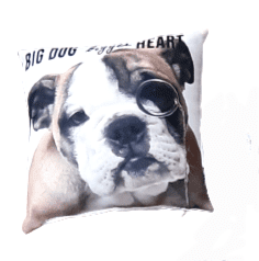 Cojines perros y gatos 20 x 20