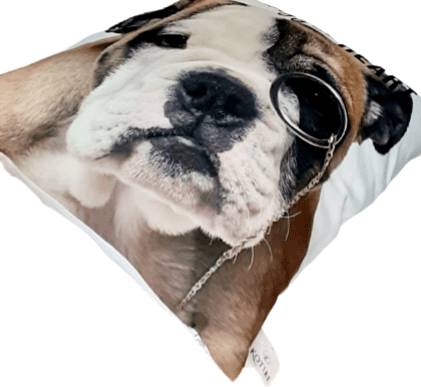 Cojín perro bulldog 45 x 45 - 1