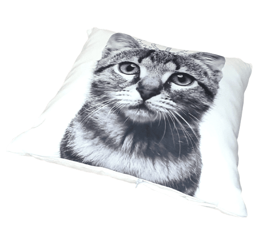 Cojines gato corona 40 x 40 - 1