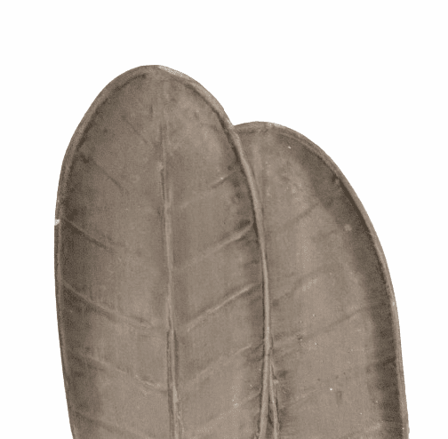 BANDEJA METAL HOJA - 1