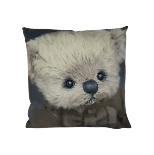 Cojín osito peluche lazo 34 x 34