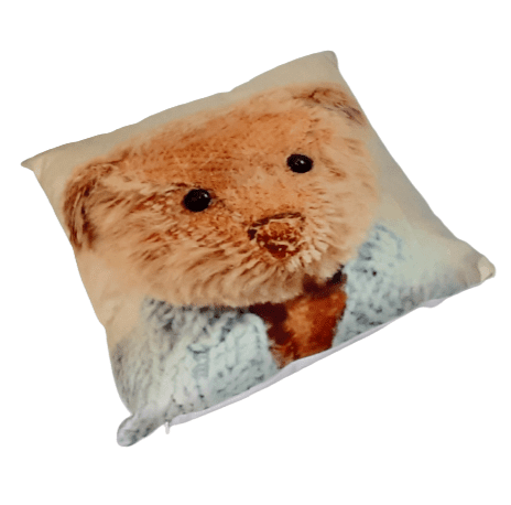 Cojín osito peluche jersey 34 x 34