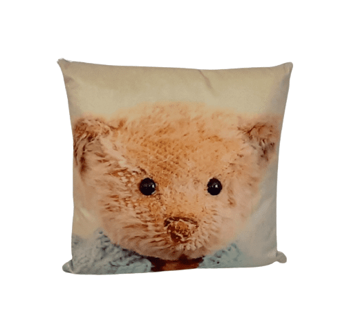 Cojín osito peluche jersey 34 x 34 - 1