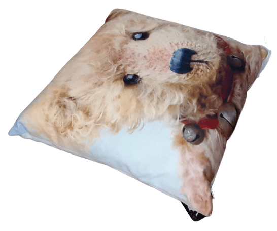 Cojines bebe osito peluche cascabel 34 x 34 - 1