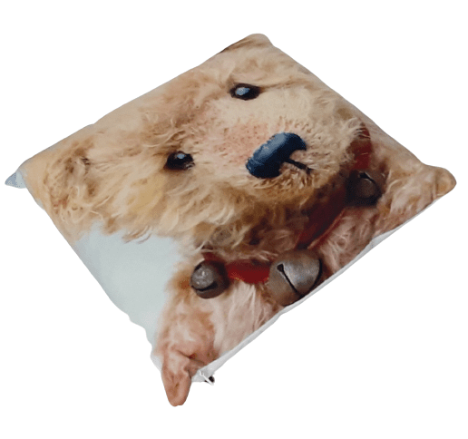 Cojines bebe osito peluche cascabel 34 x 34 - 2