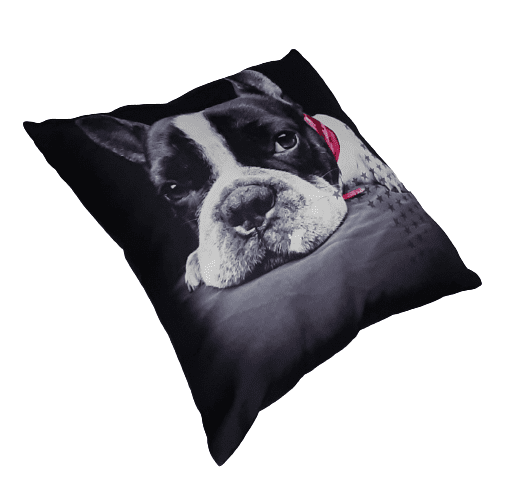 Cojines Bulldog fuxia - 1