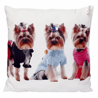 Cojín Yorkshire 45 x 45