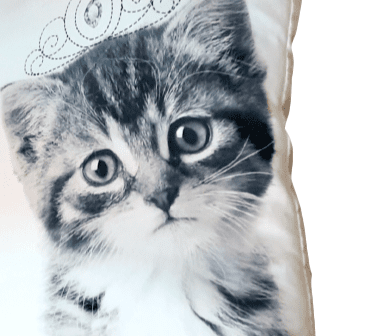 Cojines gatitos reyes 40 x 40 - 1