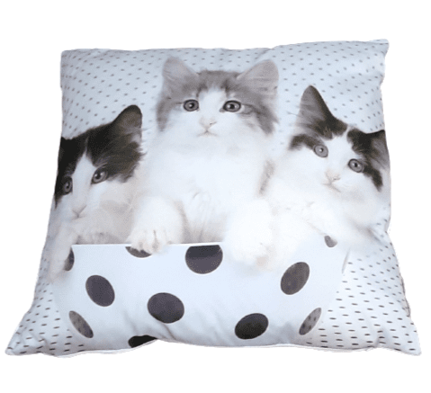 Cojines gatos lunares 45 x 45
