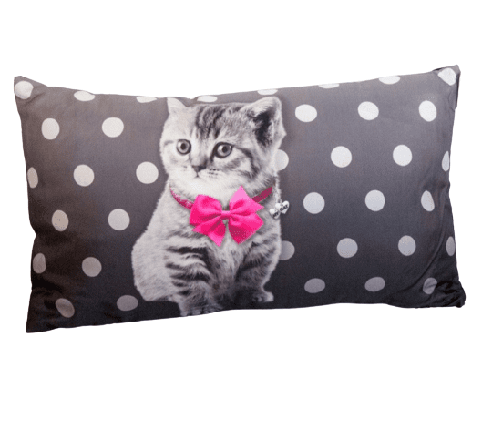 Cojines gatito rectangular 30 x 50