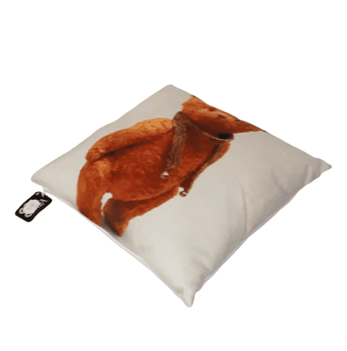 Cojines ositos naranjas 34 x 34 - 1