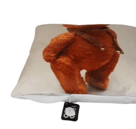 Cojines ositos naranjas 34 x 34 - 2