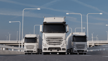 ¿SE PODRA HACER TRANSPORTE INTERNACIONAL CON 44 TONELADAS?