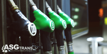 El Gobierno aclara que las ayudas al gasóleo no pueden reducir la revisión obligatoria del precio del transporte
