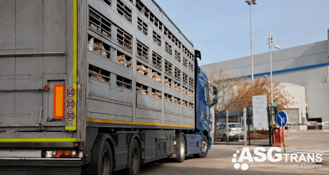 Los transportistas de animales vivos llevarán a Barcelona su protesta por los retrasos en los expedientes sancionadores