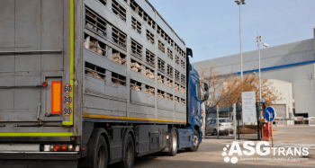 Los transportistas de animales vivos llevarán a Barcelona su protesta por los retrasos en los expedientes sancionadores