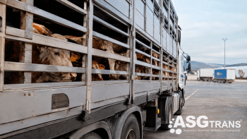 Los transportistas de animales vivos desconvocan la protesta en Barcelona tras alcanzar un acuerdo con la Generalitat