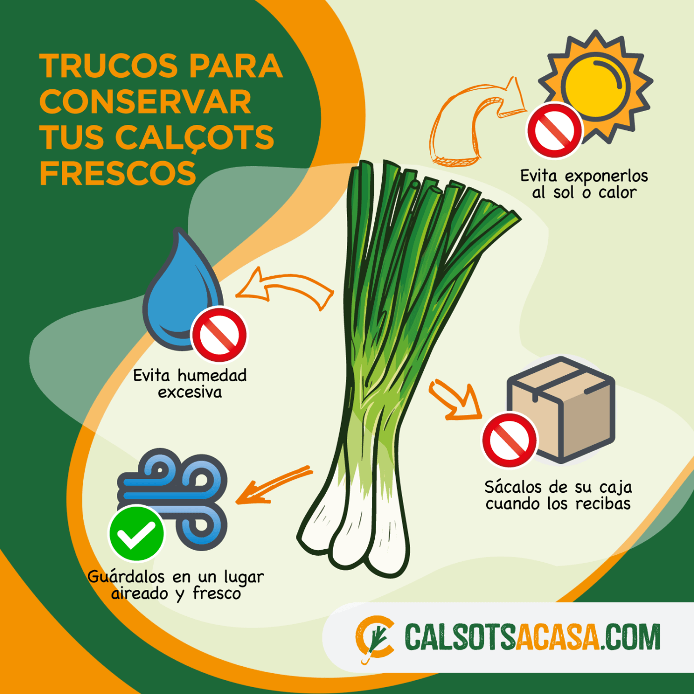 TRUCS PER CONSERVAR ELS CALÇOTS FRESCOS FINS AL GRAN DIA!