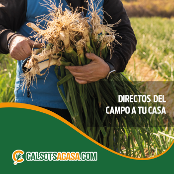 Calçots directos del campo a tu casa