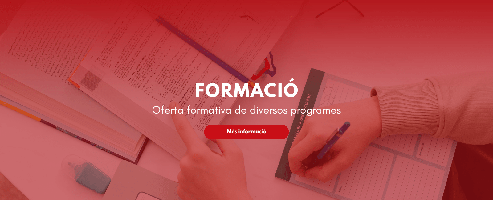 Formació Cambra