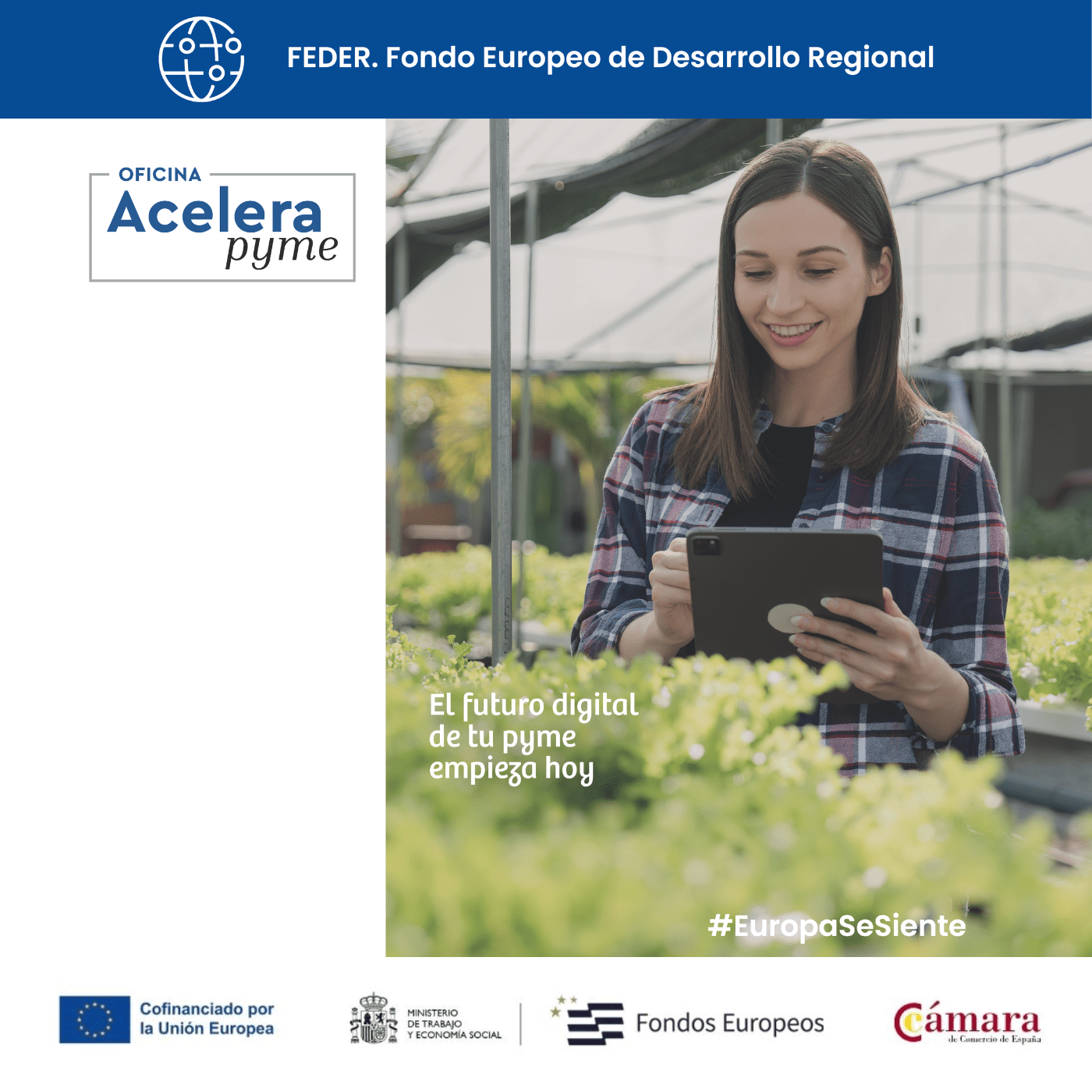 Oficina Acelera PYME