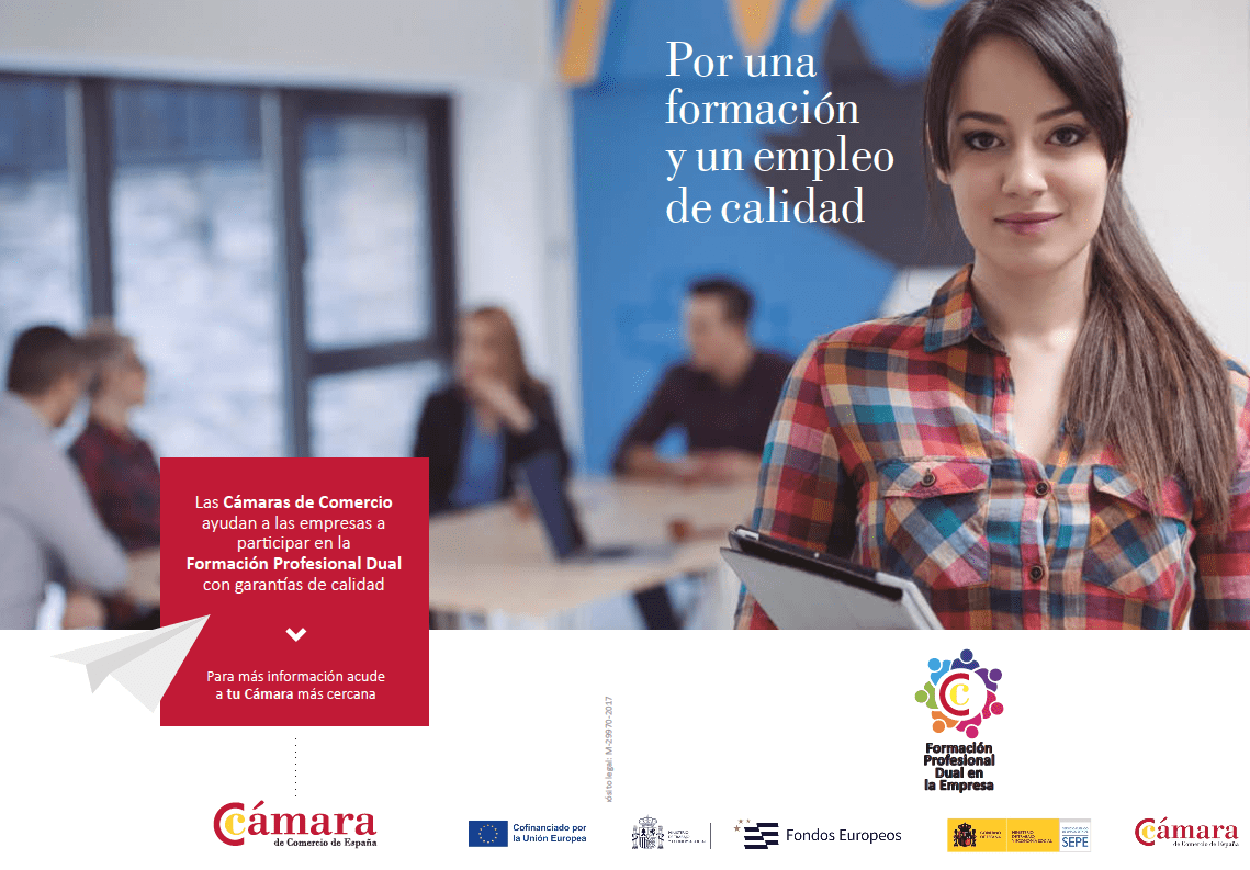 Formación Professional Dual