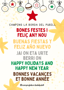 Buenas Fiestas y Feliz Año Nuevo