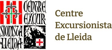Aprovat el reglament del CEL destinat a les persones que participin en competicions esportives