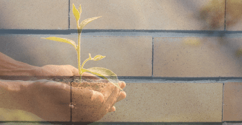 ¿Por qué los productos cerámicos utilizados en la construcción son sostenibles?