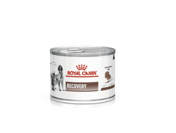 RECOVERY CANINE/FELINE 195G