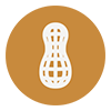 Cacauet