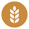 Gluten