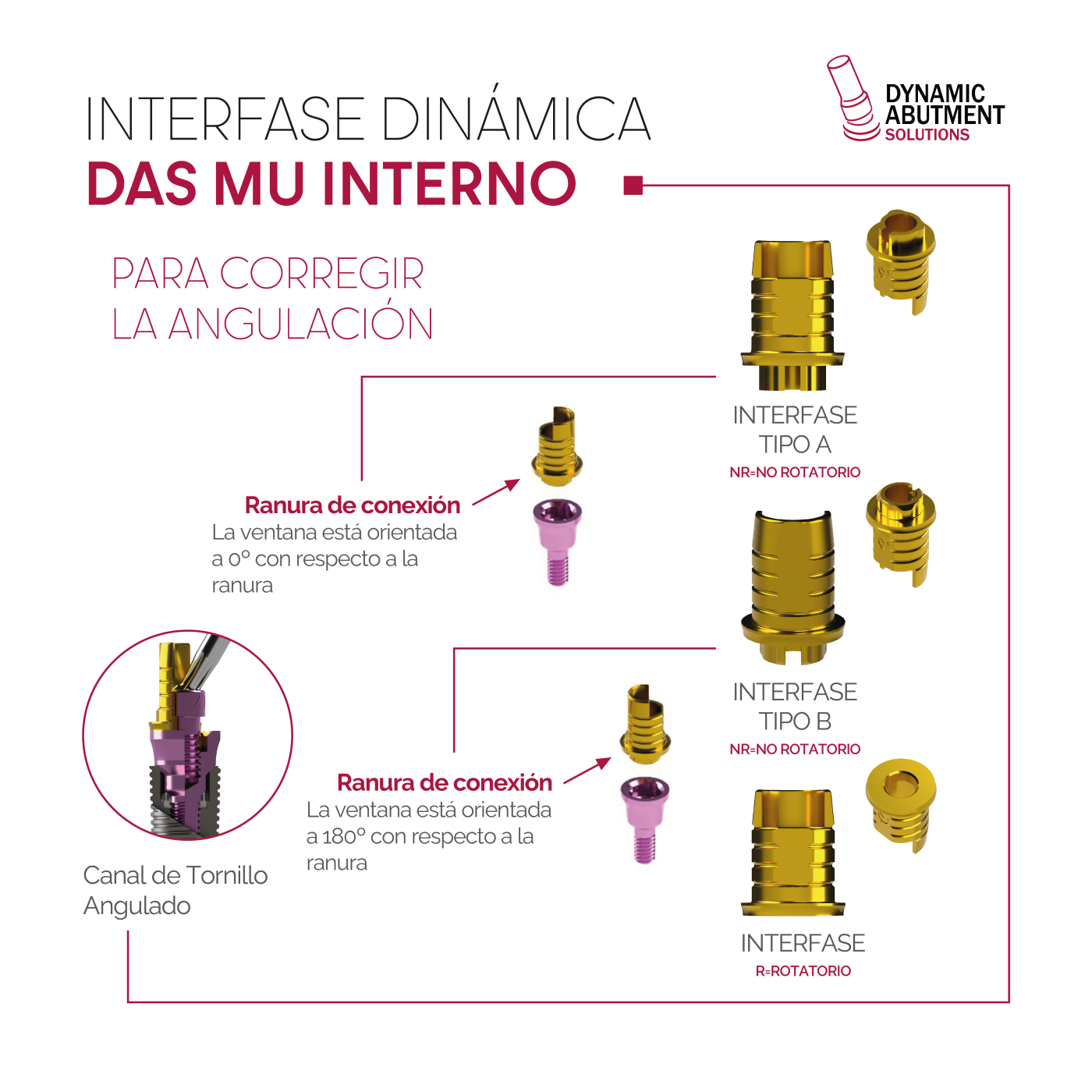 Dynamic Tibase Mu interno