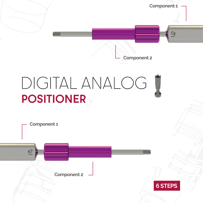 Digital Analog Positioner