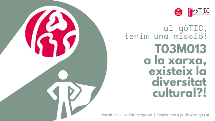 T03M013/ A la xarxa... hi ha diversitat cultural?!