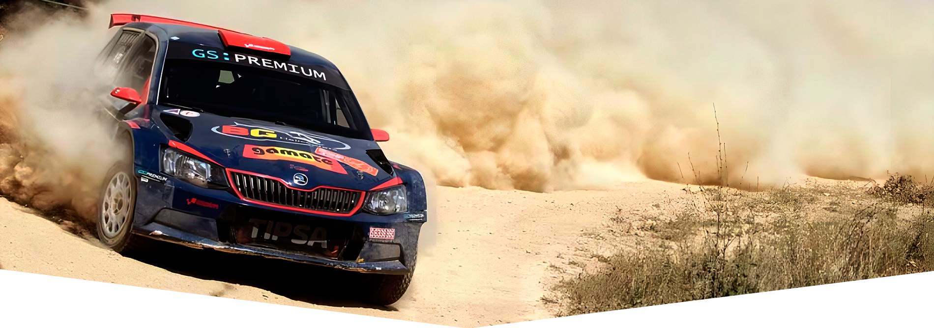 Coche rally Gs Premium