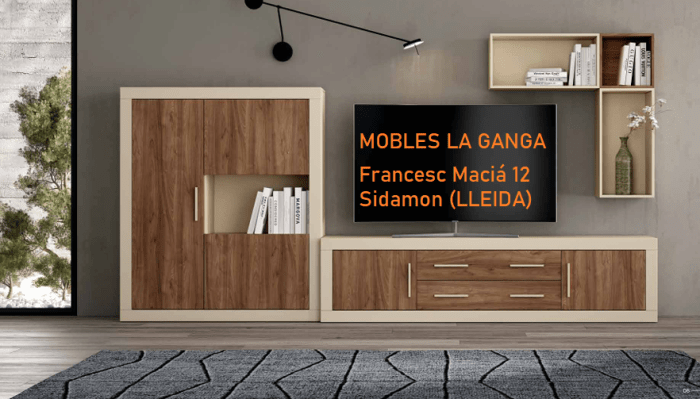 MUEBLES DE SALON COMPLETO EN LERIDA