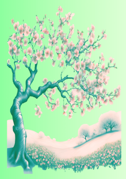 El perquè de l'agenda