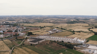 Empremtes fabrils