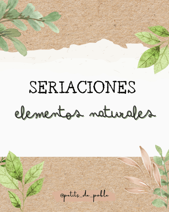 SERIACIONES ELEMENTOS NATURALES